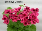 Tommays Delight